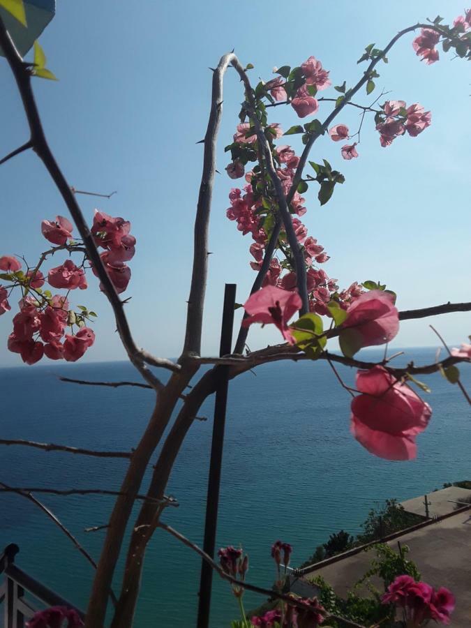 Odhisea Hotel Restaurant كيبارو المظهر الخارجي الصورة
